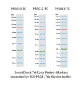 محطة تحضير متعددة الاستخدامات PrepMate MS1836-FSNK مقاس 36 بوصة مع رفوف مزدوجة